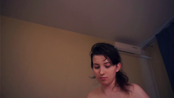 marine-delphin