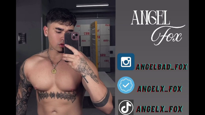 fox-angel