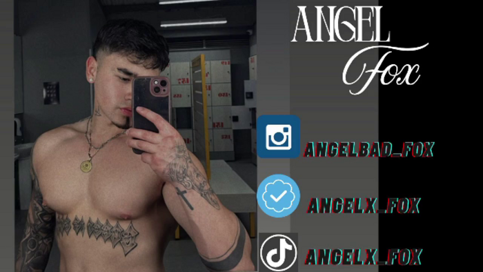 fox-angel