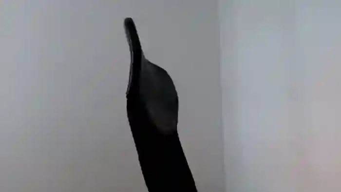 2025/08/21/flirt4free-hades-19-08-48