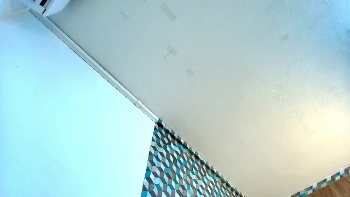 nacho-vidal