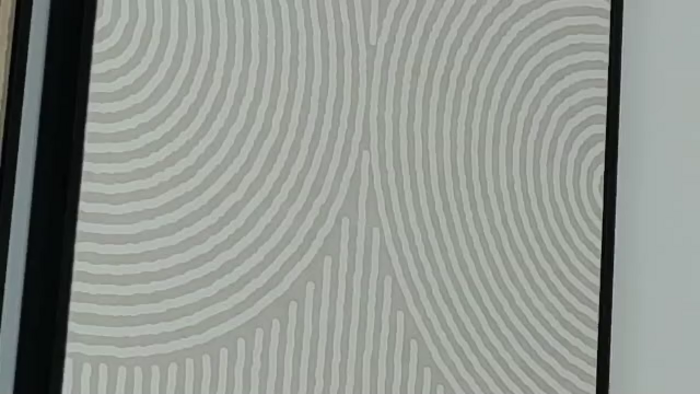 lucia-saanvi