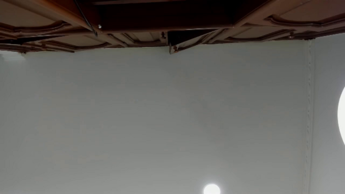 ryu-stone