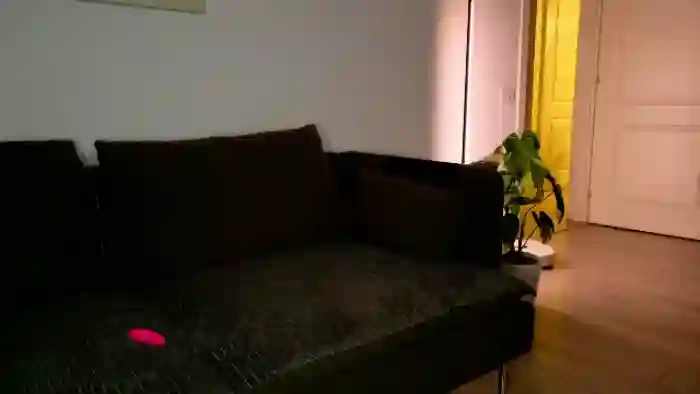 2025/10/01/flirt4free-sasha-elite-21-52-11