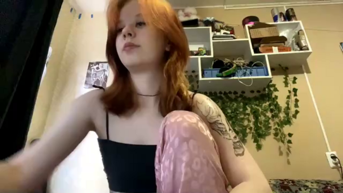 vanessa-bro