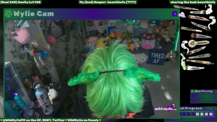 WildWyliePM