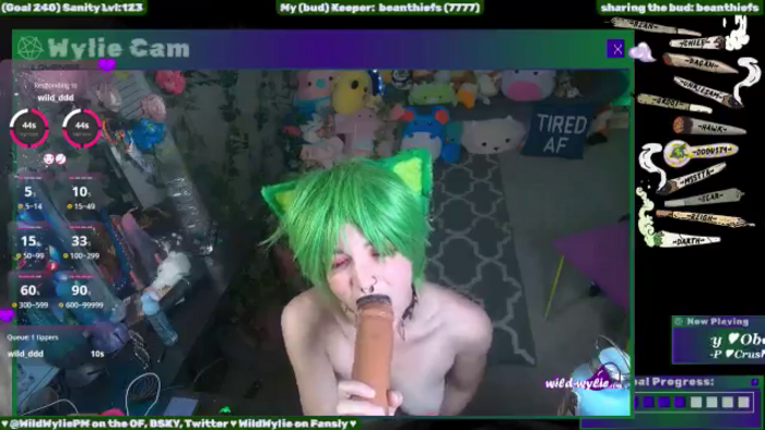 WildWyliePM