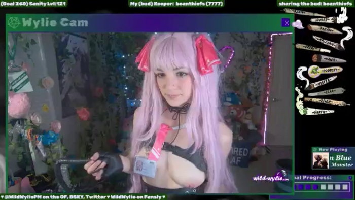 WildWyliePM