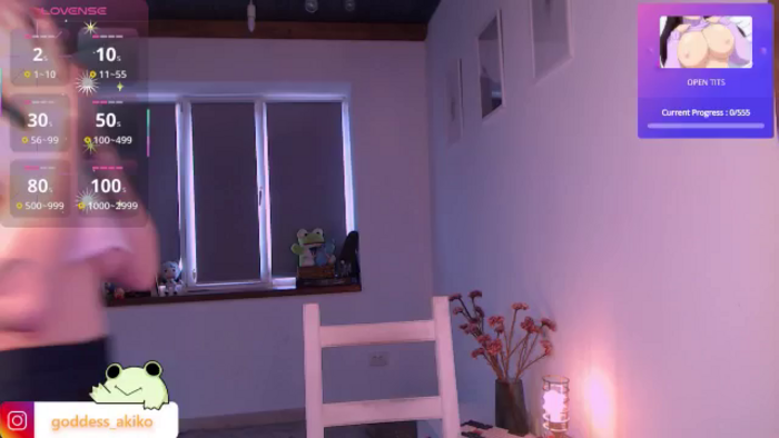 AkikoHentai