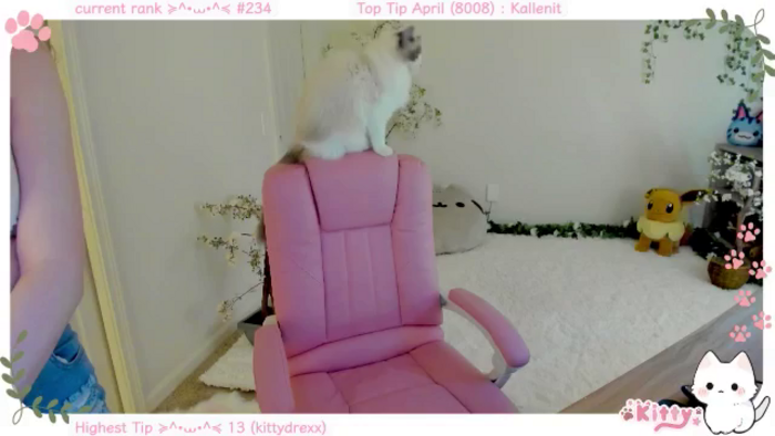 Kitty