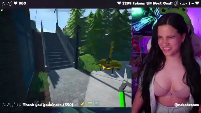 Nekobeanxo