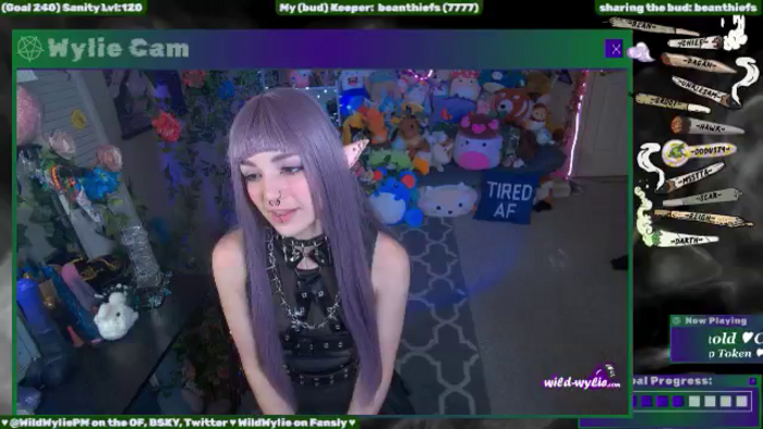 WildWyliePM