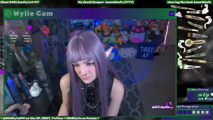WildWyliePM
