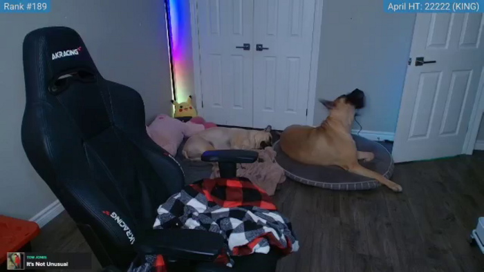 HaileeCameron