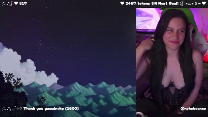 Nekobeanxo
