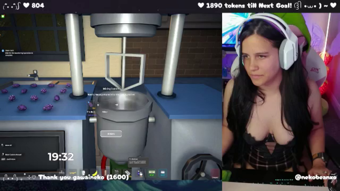 Nekobeanxo
