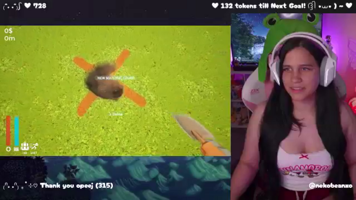 Nekobeanxo