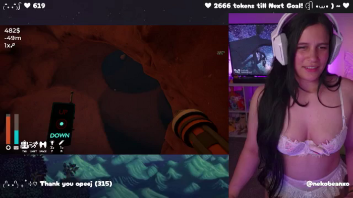 Nekobeanxo