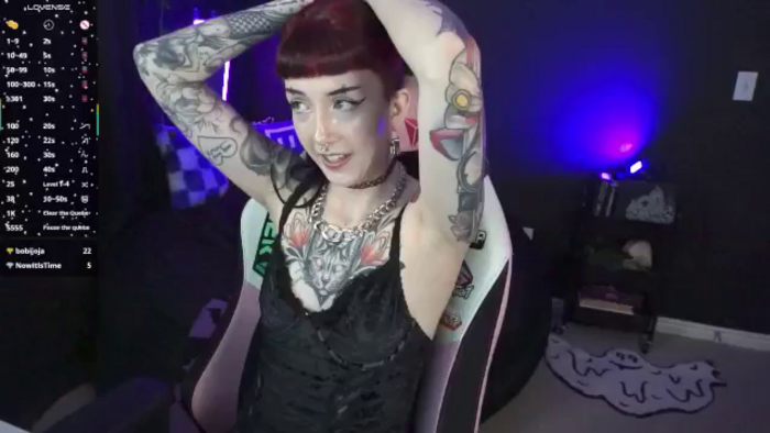 TatsnCats