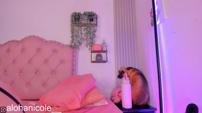 Sweet_Karen_