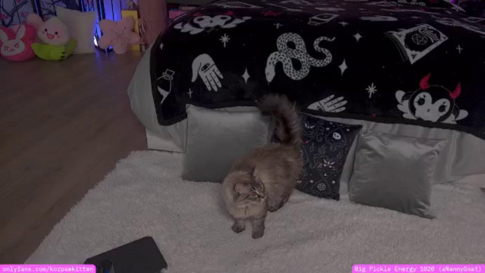 KorpseKitten