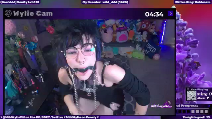 WildWyliePM