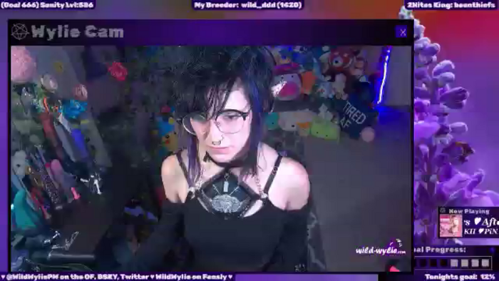 WildWyliePM