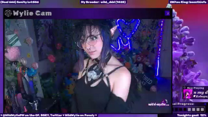 WildWyliePM