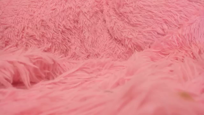 Alexa_Ridle