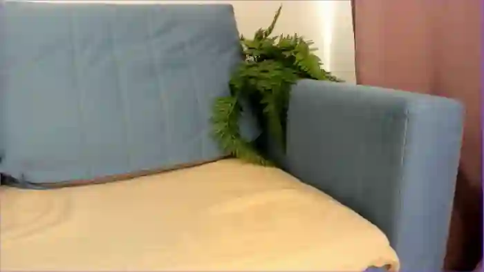 2025/05/10/mfc-rue_lane-04-29-56