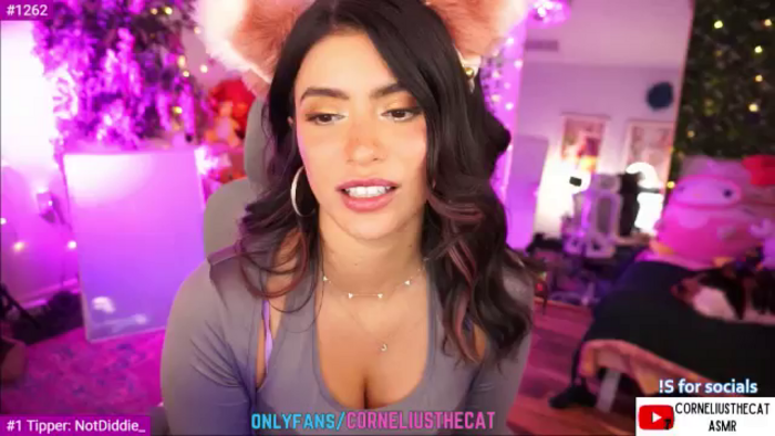 TheCatCo