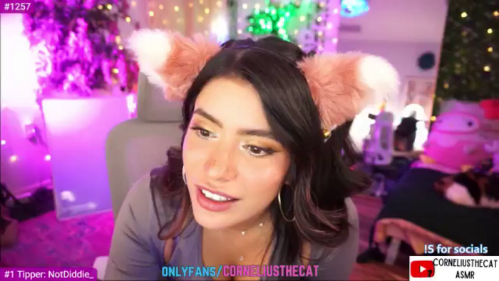 TheCatCo
