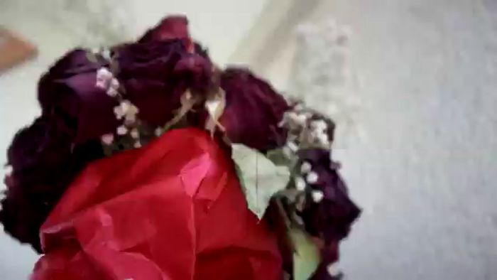 Guldefne