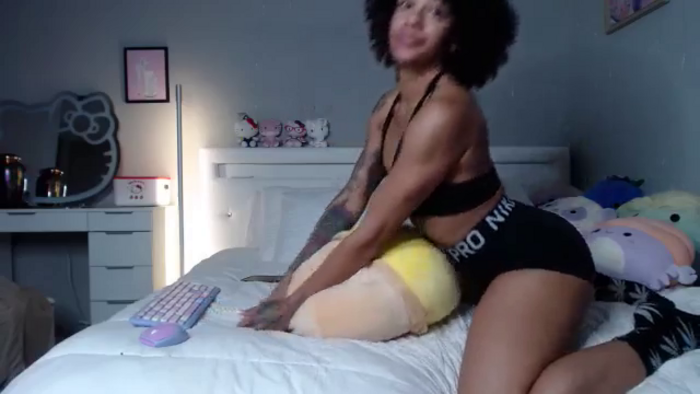 GigisKittyCat