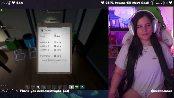 Nekobeanxo