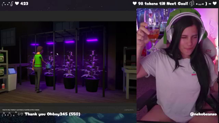Nekobeanxo