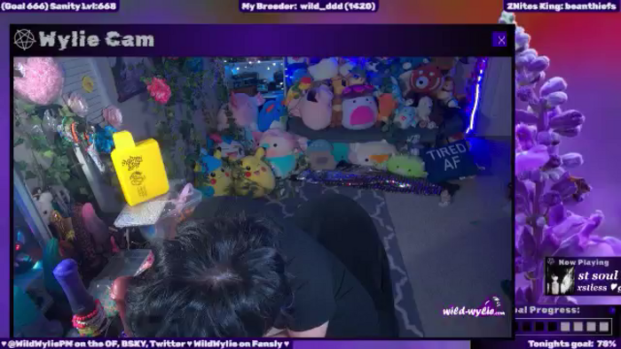 WildWyliePM