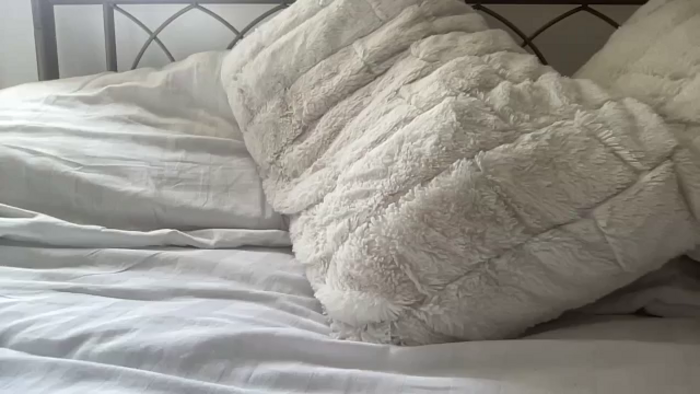 petitebabixo