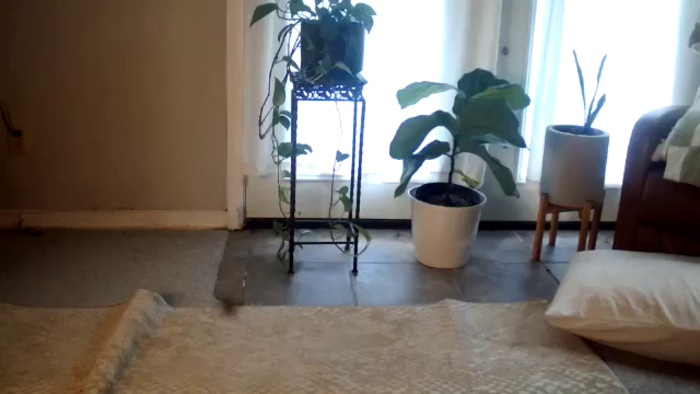 Dollbabie2211