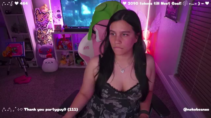 Nekobeanxo