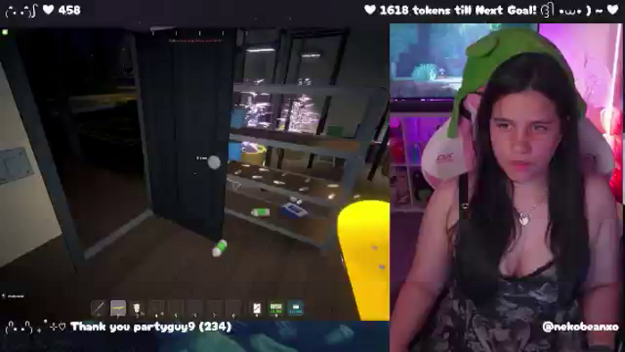 Nekobeanxo