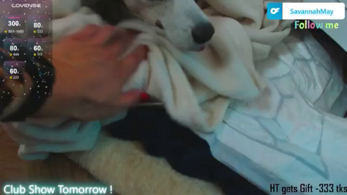 SavannahMay