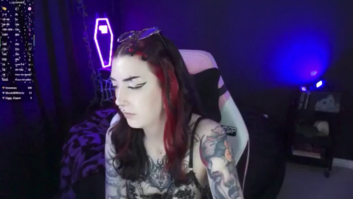 TatsnCats
