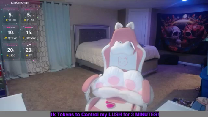 AshlynnStorm