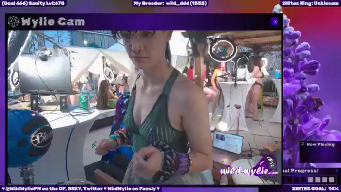WildWyliePM