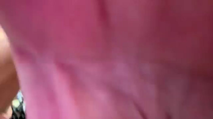 MollyMeowz