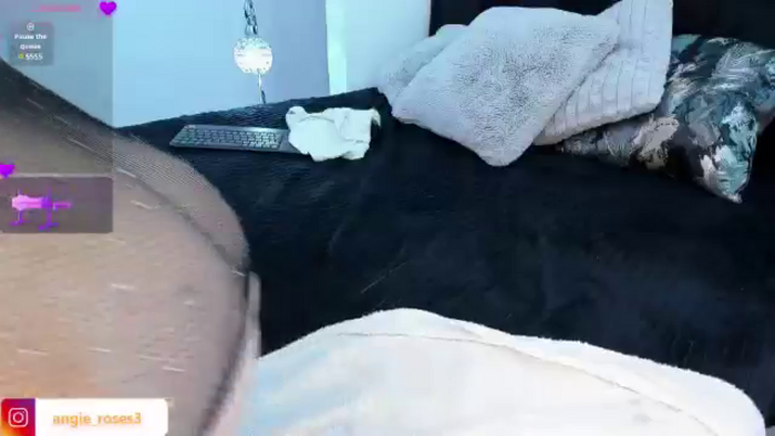Angie_Roses