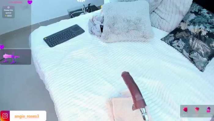 Angie_Roses