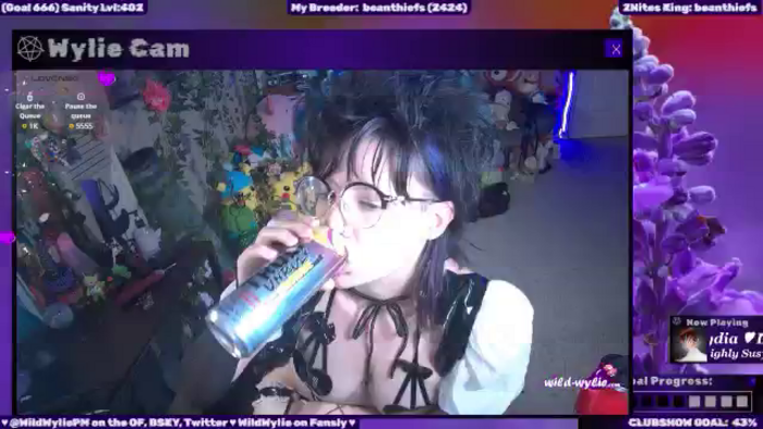 WildWyliePM