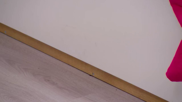 Squirrel_MFC
